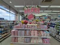 다이소 제주화북점