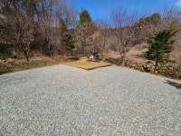 숲에서놀자