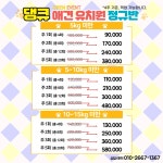 댕큐 애견유치원, 애견호텔