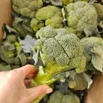 올잇마켓 구월 아시아드점