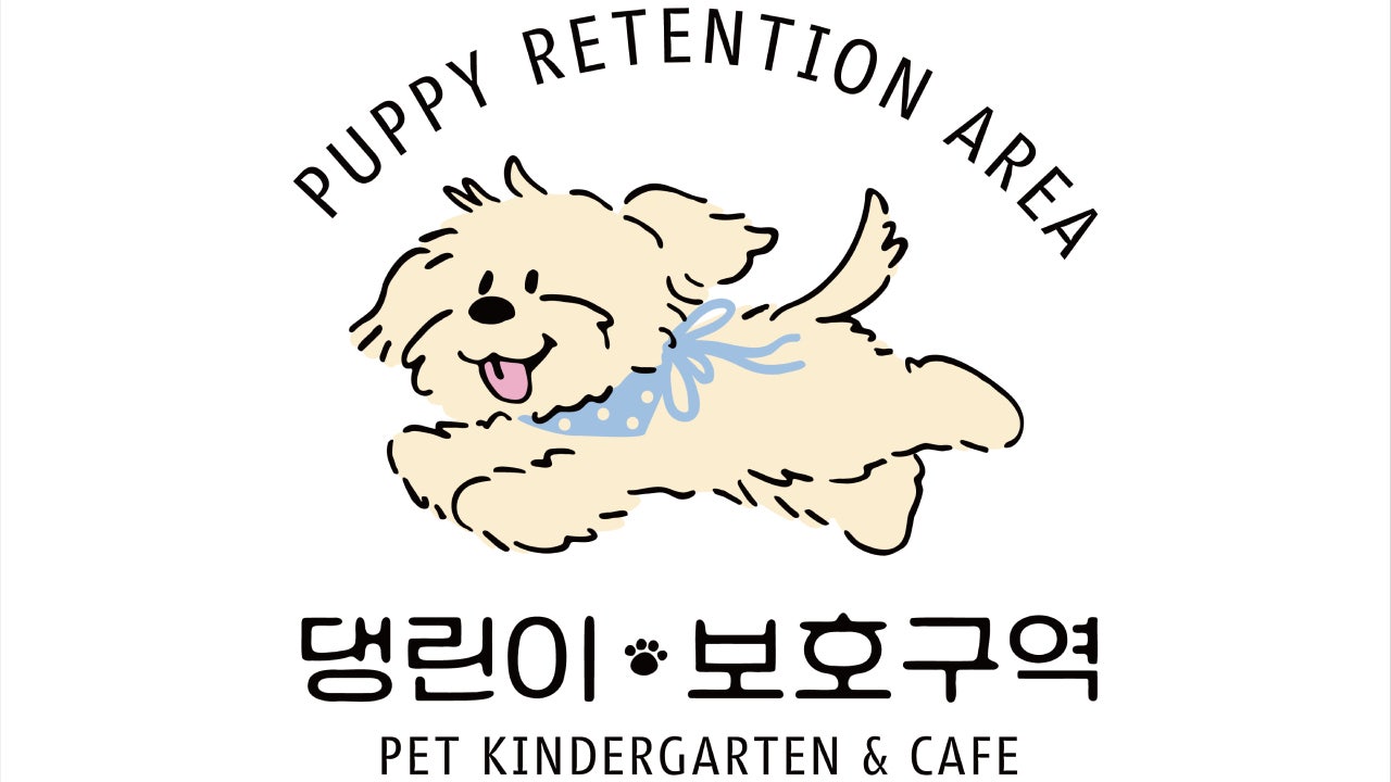 댕린이 보호구역