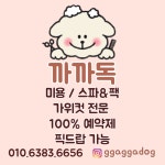까까독아산애견미용아산애견호텔