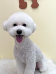 김쪼꼬미용실
