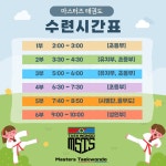 마스터즈 태권도