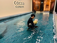 코코스퀘어 강아지유치원&애견미용 플래그십 스토어