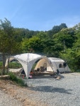 숲에서놀자