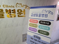 금샘동물병원