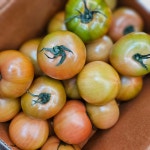 올잇마켓 구월 아시아드점