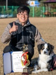 반려견학교 모두모여댕댕 모모댕댕 스쿨