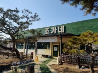 횡성 조가네