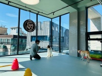 코코스퀘어 강아지유치원&애견미용 플래그십 스토어