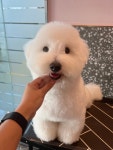 프롬유어독