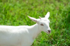 휘게팜 부안지점