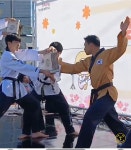 한양태권도격투기체육관 2관 쌍문동점