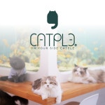 캣플헤븐 부산명지점