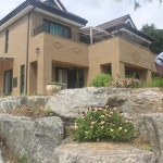 청산블루베리
