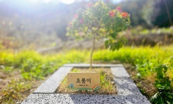 순천반려동물장례식장하늘별