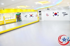 캡틴태권도