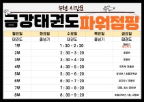금강태권도파워점핑