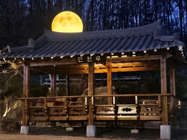 단원의뜰