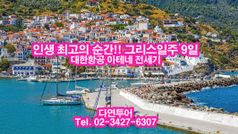 다연투어