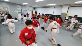 용인대호랑이태권도