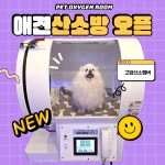 니멍내멍