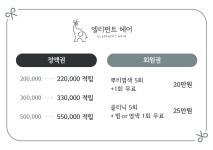 엘리펀트 헤어