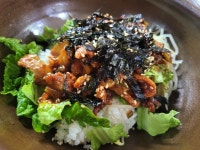 콩고을