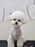 편안하댕