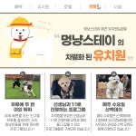 멍냥스테이 애견호텔 애견유치원