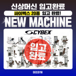 빅스짐 부산신호점