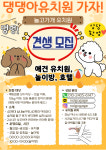 놀고가개 애견유치원&애견놀이방&애견호텔