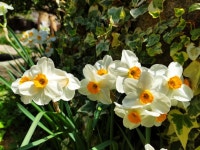 살구나무한옥민박