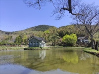 살구나무한옥민박