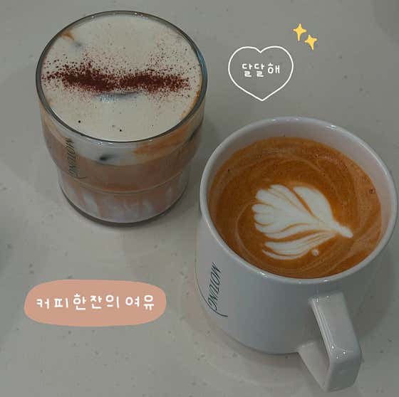 모퉁 사진