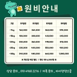 마이댕댕스쿨