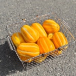 젊은맛이야기 양산물금본점