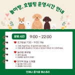 페스츄리펫살롱 화이트역삼점