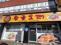 황금오리