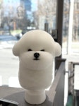 리리디라디독