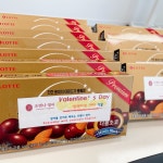 조앤나영어교습소