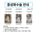 라온동물병원