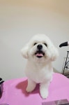 댕긋댕긋