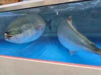 바다킹HUB 매산점