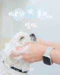 곱디곱개