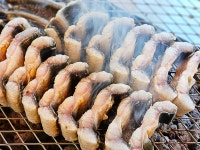 힘찬장어