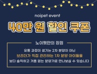 노이펫 강아지 고양이 춘천점
