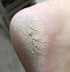 레푸스 동탄반송점
