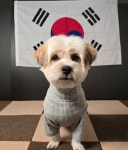 살랑살랑 멍치원 애견유치원